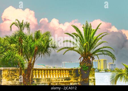 Vintage-Version von Palmen und alten Beton dekorative alle Rahmen Blick auf Wolkenkratzer über dem Wasser - Palm Beach Florida Stockfoto