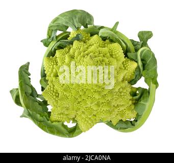 romanesco Brokkoli Pfad isoliert auf weißem Draufsicht Stockfoto