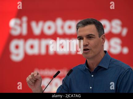 11. Juni 2022, Malaga, Spanien: Der spanische Premierminister Pedro Sanchez und der Vorsitzende der Sozialistischen Partei werden während einer Wahlkampfveranstaltung für Andalusien eine Rede halten. Nach der Ankündigung der Regionalwahlen am 19.. Juni haben die wichtigsten politischen Parteien begonnen, in verschiedenen Städten Andalusiens Veranstaltungen und Kundgebungen abzuhalten. Trotz des Aufstiegs der spanischen rechtsextremen Partei VOX stehen mehrere Medienumfragen an der Spitze der andalusischen Volkspartei. Die Parteien auf der linken Seite des politischen Spektrums sind fragmentiert. (Bild: © Jesus Merida/SOPA Bilder via ZUMA Press W Stockfoto