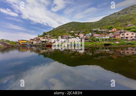 Fischerdorf mit der Spiegelung der Häuser im Shkoder-See, Montenegro Stockfoto