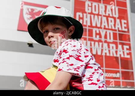 CARDIFF, WALES - 11. JUNI 2022: Wales-Fans während der League Ein 2022 Nations League-Spiel zwischen Wales und Belgien im Cardiff City Stadium am 11.. Juni 2022. (Bild von John Smith/FAW) Stockfoto