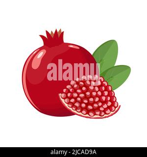 Granatapfel, ganz mit Blättern und Scheibe mit Körnern, flache Vektorgrafik isoliert auf weißem Hintergrund Stock Vektor