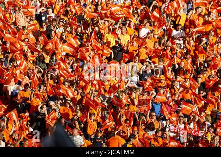 ROTTERDAM - Fans der Niederlande während des Spiels der UEFA Nations League zwischen den Niederlanden und Polen im Feyenoord-Stadion am 11. Juni 2022 in Rotterdam, Niederlande. ANP PIETER STAM DE YOUNG Stockfoto