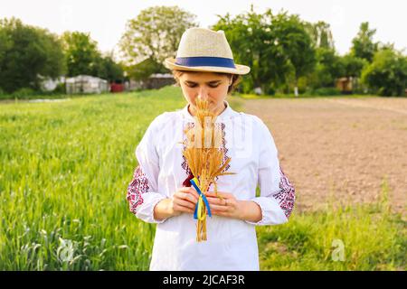 Unschärfe Frau in vyshywanka halten Bouquet von reifen goldenen Ähren auf der Wiese Natur Hintergrund gebunden. Flagge Ukraine. Unabhängigkeit. Agricu Stockfoto