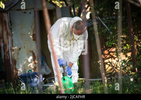 Der Prozess der Behandlung von Pflanzen mit Pestiziden. Ein Landwirt in Schutzanzug und Maske bereitet einen Bestäuber auf die Arbeit vor. Stockfoto