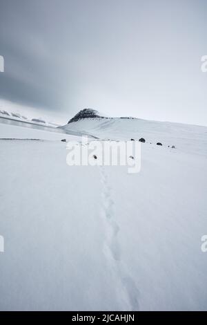 Tierspuren im Schnee, die zu einer einsamen Hütte unter einem Berg auf Svalbard, Norwegen, führen Stockfoto