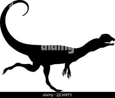 Dinosaurier der Jurassic Periode. Silhouetten verschiedener Dinosaurier. Vektordinosaurier. Stock Vektor