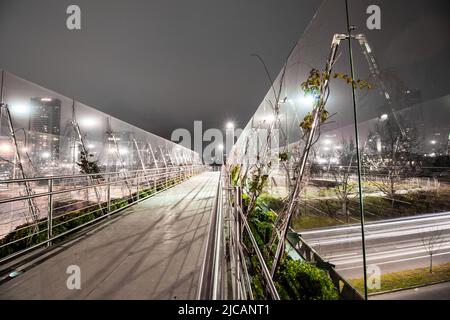 Fußgängerüberführung in Santiago, Chile Stockfoto