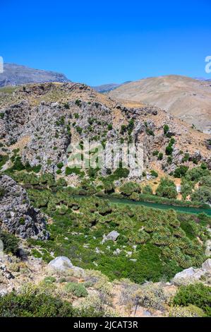 Preveli Beach - berühmt für den schönen Fluss mit azurblauem Wasser und tropischem Palmenwald hinter dem Strand - auf der südlichen Insel Kreta, Griechenland, E Stockfoto