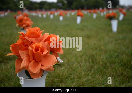 Washington, Usa. 11.. Juni 2022. Orangefarbene Blumen in Vasen auf der National Mall repräsentieren die Zunahme der Opfer von Waffengewalt in den letzten Jahren in Washington, DC, am Samstag, den 11. Juni 2022. Foto von Bonnie Cash/UPI Credit: UPI/Alamy Live News Stockfoto