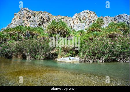 Preveli Beach - berühmt für den schönen Fluss mit azurblauem Wasser und tropischem Palmenwald hinter dem Strand - auf der südlichen Insel Kreta, Griechenland, E Stockfoto