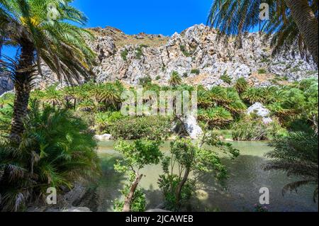 Preveli Beach - berühmt für den schönen Fluss mit azurblauem Wasser und tropischem Palmenwald hinter dem Strand - auf der südlichen Insel Kreta, Griechenland, E Stockfoto