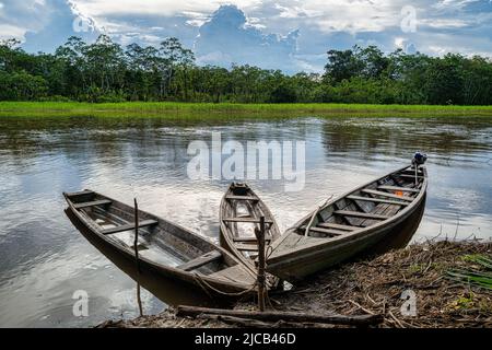 Yagua Tribal skiffs auf einem Nebenfluss zum Amazonas, Nordostperu Stockfoto