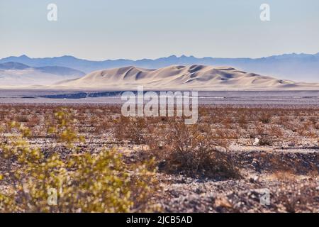 Sanddünen inmitten einer offenen Wüstenlandschaft Stockfoto