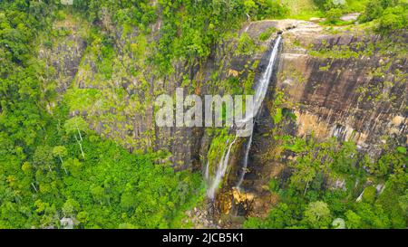 Wasserfall inmitten eines tropischen Dschungels mit grünen Pflanzen und Bäumen. Diyaluma Falls, Sri Lanka. Stockfoto