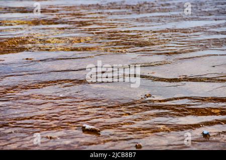 Kleine Terrassen mit Wasserfällen über sie in den Yellowstone Quellen Stockfoto