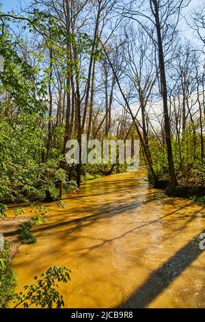 Frühlingswald am braunen Fluss im Park Stockfoto