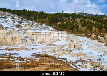 Schneebedeckte Terrassen im Winter in den Yellowstone Hot Springs Stockfoto