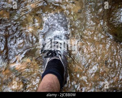 Fuß mit schwarzen Socken und grauen Wanderschuhen im Flusswasser Stockfoto
