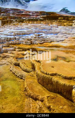 Verschneite heiße Quellterrassen in Yellowstone mit Dampf Stockfoto