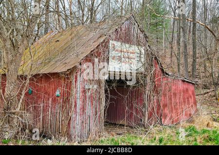 Rote Scheune im späten Winter mit abblätternder Farbe im mittleren Westen Stockfoto
