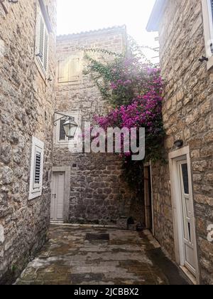 Schmale Straße mit Laterne und Blumen in der Altstadt von Budva, Montenegro Stockfoto