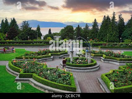 Rosengarten auf dem Campus der University of British Columbia in Vancouver Stockfoto