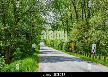 Üppiger Frühlingswald entlang der Seitenstraße im mittleren Westen Stockfoto