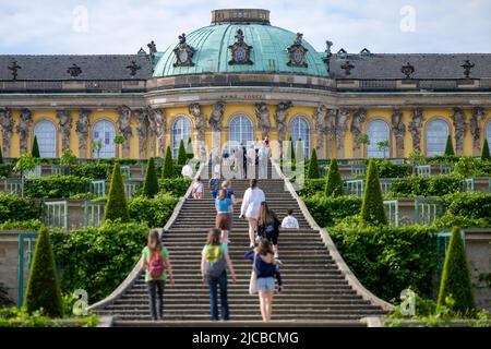 Potsdam, Deutschland. 11.. Juni 2022. Zahlreiche Besucher stehen auf den Stufen vor dem Schloss Sanssouci im Park Sanssouci. Quelle: Monika Skolimowska/dpa/Alamy Live News Stockfoto