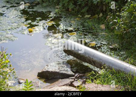 Kristallklares, frisches Wasser, das aus einem Rohr hervortritt. Stockfoto