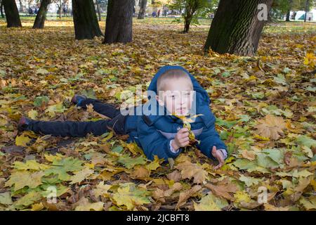 Junge liegt auf Ahornblättern im Park Stockfoto