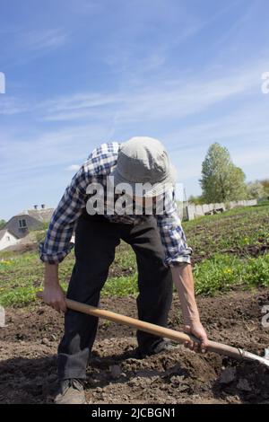 Großvater beugte sich mit einer Schaufel, die im Garten grub, zu Boden Stockfoto