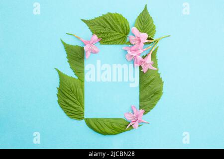 Rechteckiger Rahmen aus geschnittenen Blättern und rosa Blüten auf hellblauem Hintergrund. Nahaufnahme eines wunderschönen Blumenrahmens. Stockfoto