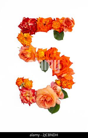 Die Nummer fünf besteht aus echten roten, orangefarbenen Rosen, isoliert auf weißem Hintergrund. Stockfoto