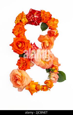 Die Nummer acht besteht aus echten roten, orangefarbenen Rosen, isoliert auf weißem Hintergrund. Stockfoto