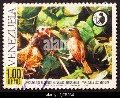 VENEZUELA - UM 1968: Eine in Venezuela gedruckte Marke zeigt Rotaugen-Vireo-Fütterung junger gebräunter Cowbird, Naturschutz, um 1968 Stockfoto