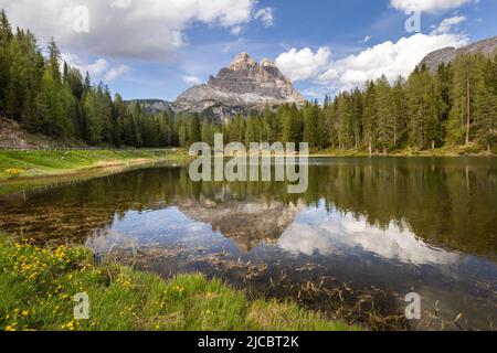 Die drei Gipfel des Lavaredo spiegeln sich auf dem D'Antorno-See, umgeben von einem Holz aus Kiefern, unter einem blauen Himmel mit geschwollenen Wolken Stockfoto