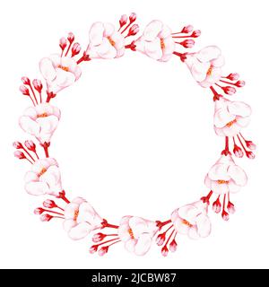 Sakura-Kranz. Platz für die Inschrift. Aquarelldarstellung. Isoliert auf weißem Hintergrund. Für Ihr Design Stockfoto