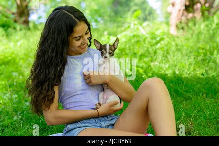 Hispanische, dunkelhaarige, wunderschöne Frau hält Chihuahua und lächelt im Park Stockfoto