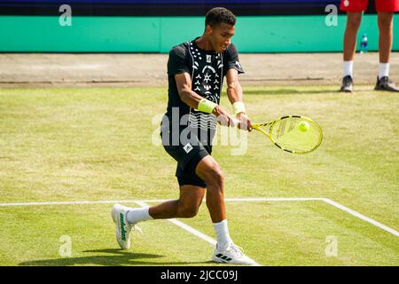 S-HERTOGENBUSCH, NIEDERLANDE - 11. JUNI: Felix Auger-Aliassime aus Kanada beim Halbfinalspiel der Herren zwischen Tim van Rijthoven aus den Niederlanden und Felix Auger-Aliassime aus Kanada beim Autotron am 11. Juni 2022 in 's-Hertogenbosch, Niederlande (Foto: Joris Verwijst/BSR Agency) Stockfoto