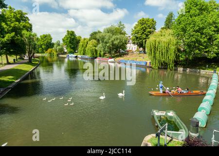 Frühlingsmittagmittag am Fluss Cam in Cambridgeshire, England. Stockfoto