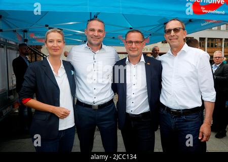 Alice Weidel, Sebastian Wippel, Tino Chrupalla und Jörg Urban beim Landratswahlkampf für Sebastian Wippel auf dem Marienplatz. Görlitz, 11.06.2022 Stockfoto