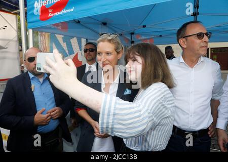 Alice Weidel und Jörg Urban beim Landratswahlkampf für Sebastian Wippel auf dem Marienplatz. Görlitz, 11.06.2022 Stockfoto