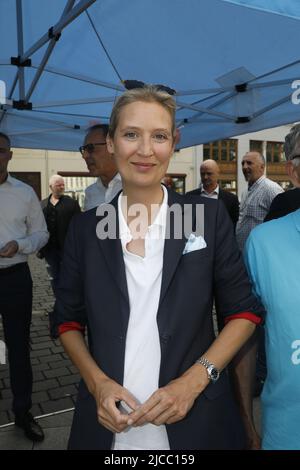 Alice Weidel beim Landratswahlkampf für Sebastian Wippel am Marienplatz. Görlitz, 11.06.2022 Stockfoto