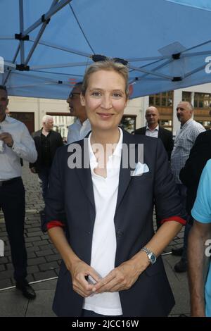 Alice Weidel beim Landratswahlkampf für Sebastian Wippel am Marienplatz. Görlitz, 11.06.2022 Stockfoto