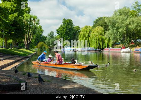 Frühlingsmittag auf dem River Cam in Cambridge, England. Stockfoto