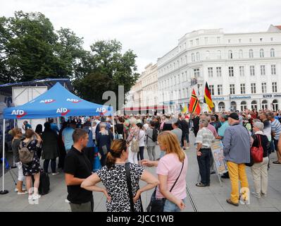 Alice Weidel, Sebastian Wippel, Tino Chrupalla und Jörg Urban beim Landratswahlkampf für Sebastian Wippel am Marienplatz. Görlitz, 11.06.2022 Stockfoto