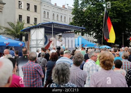 Sebastian Wippel beim Landratswahlkampf für Sebastian Wippel am Marienplatz. Görlitz, 11.06.2022 Stockfoto