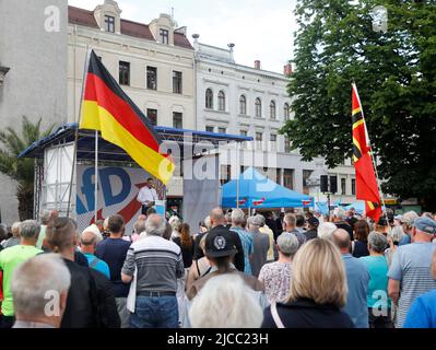 Sebastian Wippel beim Landratswahlkampf für Sebastian Wippel am Marienplatz. Görlitz, 11.06.2022 Stockfoto