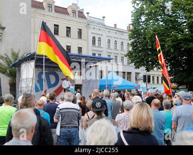 Sebastian Wippel beim Landratswahlkampf für Sebastian Wippel am Marienplatz. Görlitz, 11.06.2022 Stockfoto